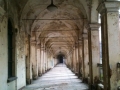 CERTOSACOLLEGNO5