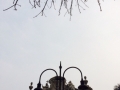 CERTOSACOLLEGNO6