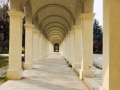 CERTOSACOLLEGNO7