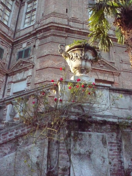 COLLEGNOCASTELLO10