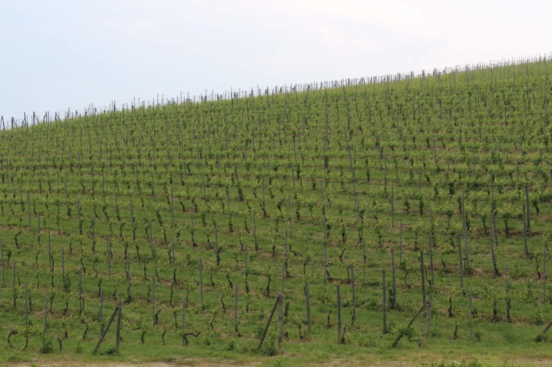 LANGHE17