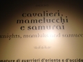 MAMELUCCHI3