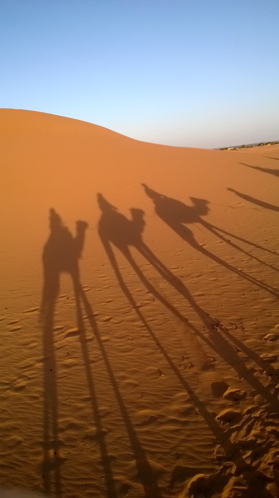 Marocco