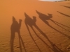 Marocco