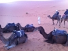 Marocco6