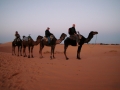 MAROCCO3