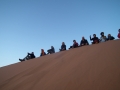 MAROCCO5