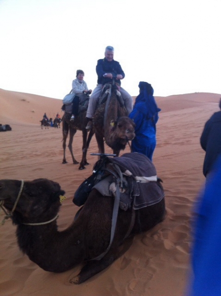 MAROCCOB19