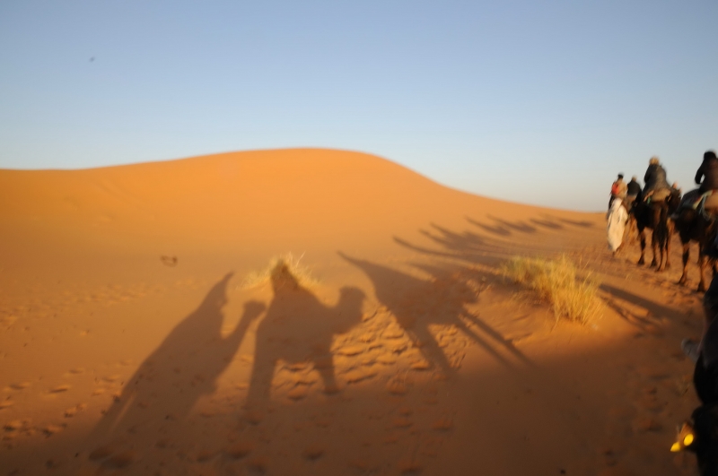 MAROCCOB21