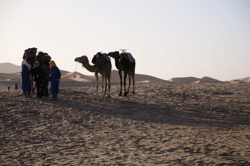 MAROCCOB22