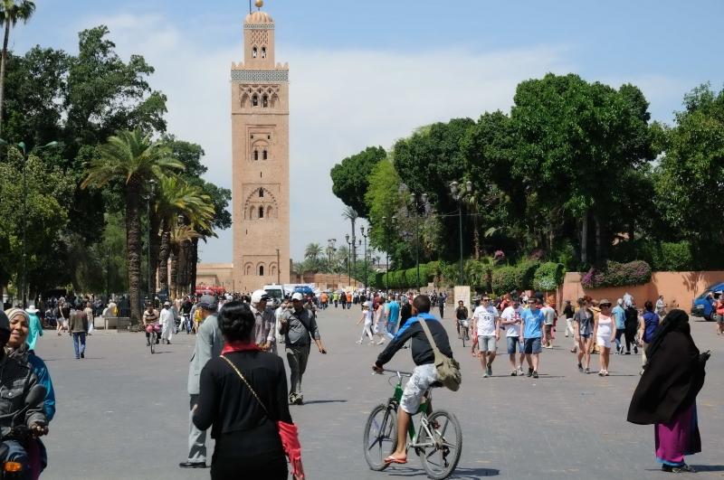MAROCCOB31