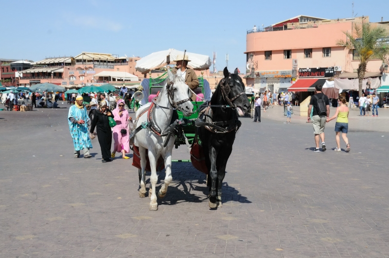 MAROCCOB34