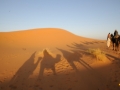 MAROCCOB21
