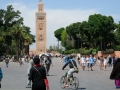 MAROCCOB31