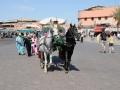 MAROCCOB34