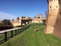 RIMINI1