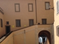 CASTELPORZIANO27